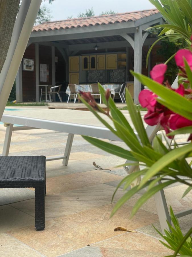 La Maison De La Cigale Forcalqueiret Dış mekan fotoğraf