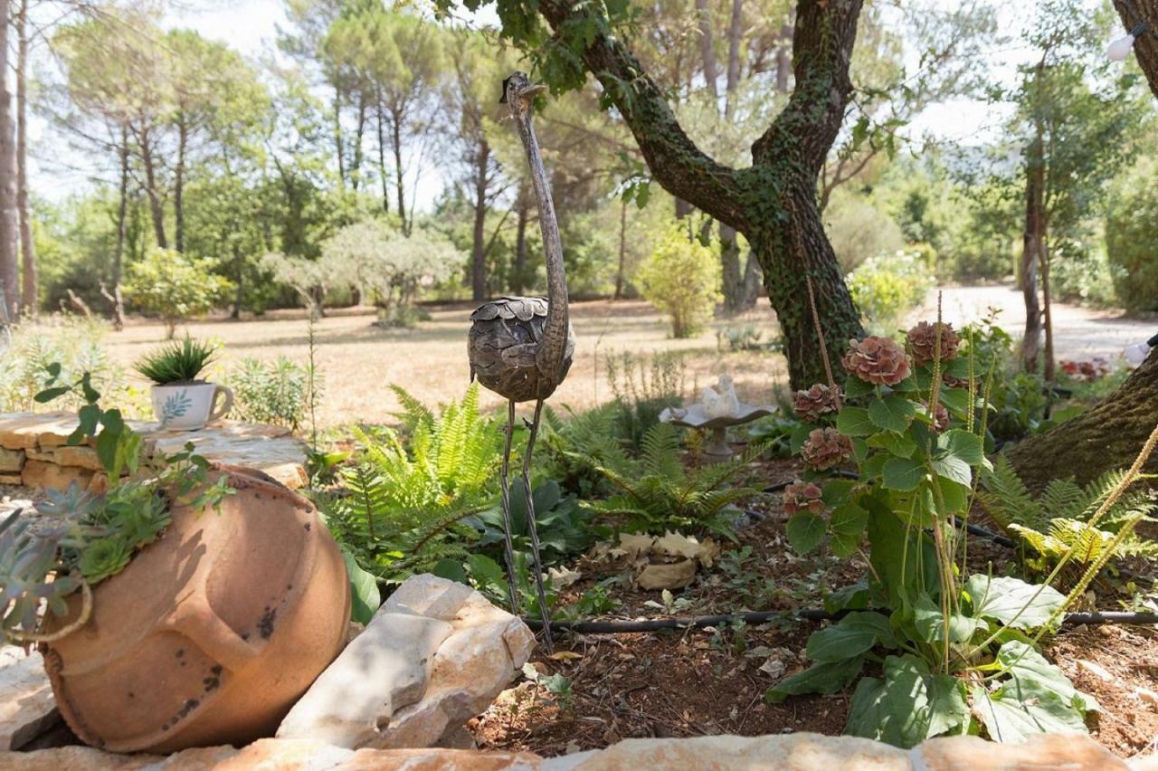 La Maison De La Cigale Forcalqueiret Dış mekan fotoğraf